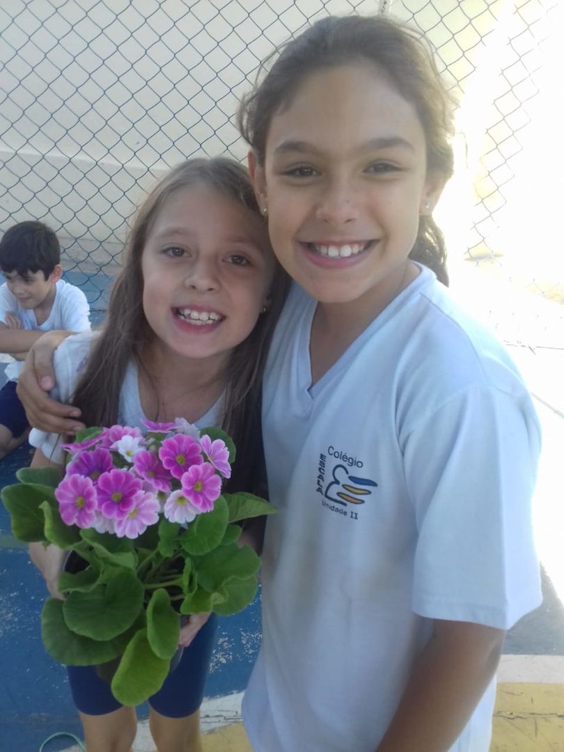 Foto Plantas e flores são presentes do amigo secreto Foto Plantas e flores são presentes do amigo secreto - Imagem 6