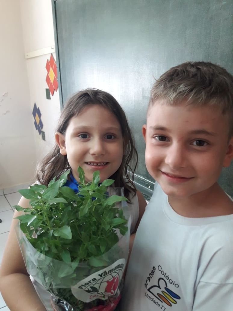 Foto Plantas e flores são presentes do amigo secreto Foto Plantas e flores são presentes do amigo secreto - Imagem 1
