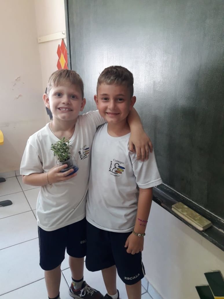 Foto Plantas e flores são presentes do amigo secreto Foto Plantas e flores são presentes do amigo secreto - Imagem 3