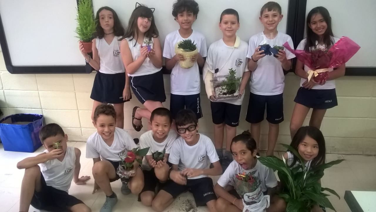 Foto Plantas e flores são presentes do amigo secreto Foto Plantas e flores são presentes do amigo secreto - Imagem 10