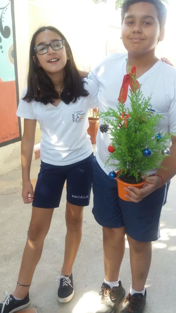 Foto Plantas e flores são presentes do amigo secreto Foto Plantas e flores são presentes do amigo secreto - Imagem 14