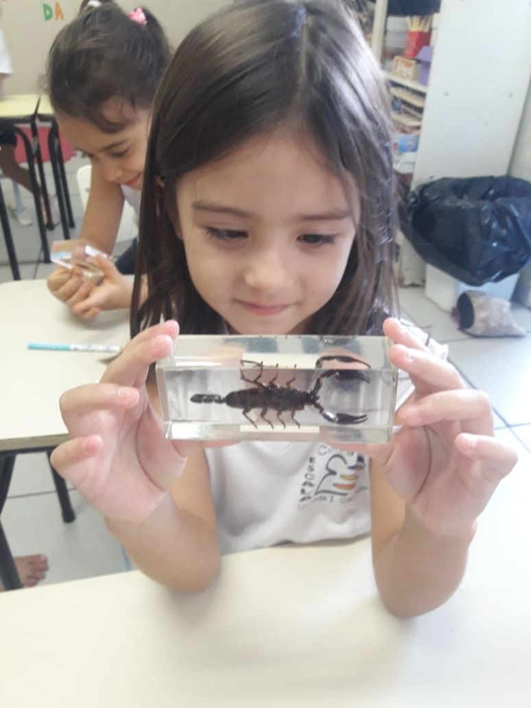 Foto ESCALA orienta crianças da Educação Infantil sobre escorpiões Foto ESCALA orienta crianças da Educação Infantil sobre escorpiões - Imagem 3