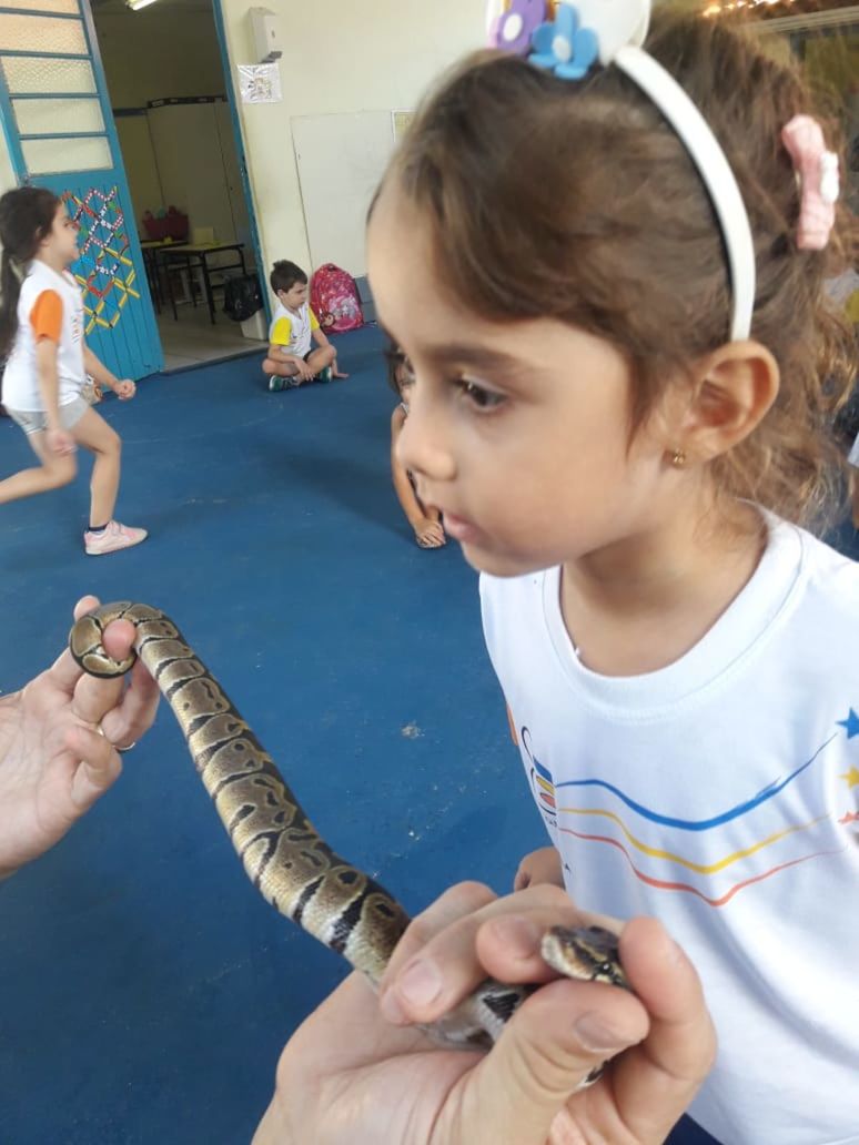 Foto ESCALA orienta crianças da Educação Infantil sobre escorpiões Foto ESCALA orienta crianças da Educação Infantil sobre escorpiões - Imagem 6
