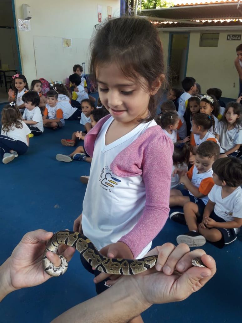Foto ESCALA orienta crianças da Educação Infantil sobre escorpiões Foto ESCALA orienta crianças da Educação Infantil sobre escorpiões - Imagem 7