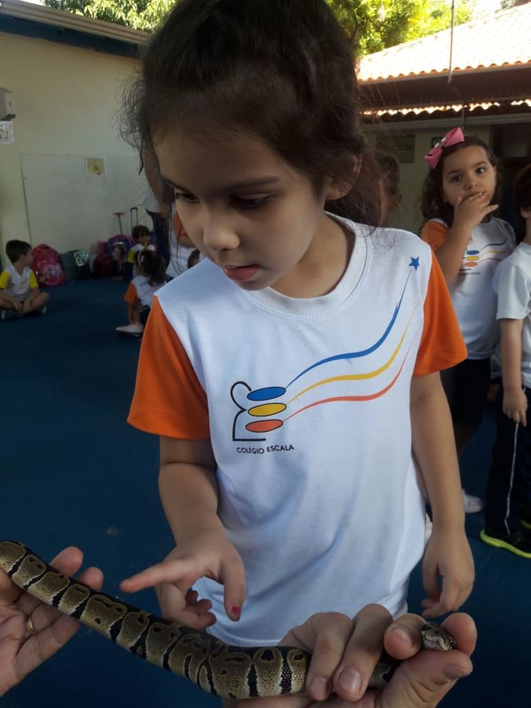 Foto ESCALA orienta crianças da Educação Infantil sobre escorpiões Foto ESCALA orienta crianças da Educação Infantil sobre escorpiões - Imagem 8