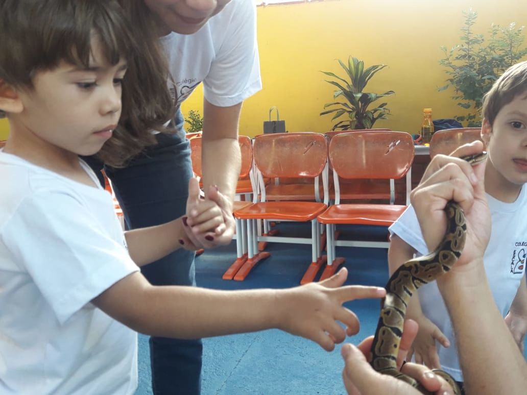 Foto ESCALA orienta crianças da Educação Infantil sobre escorpiões Foto ESCALA orienta crianças da Educação Infantil sobre escorpiões - Imagem 9