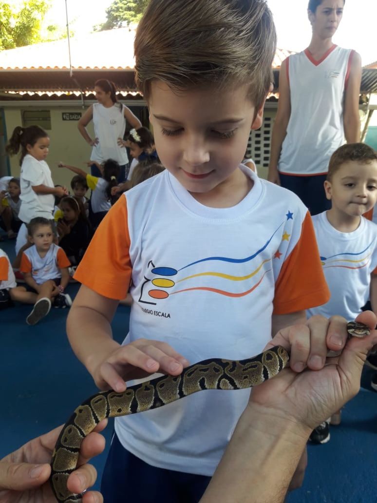 Foto ESCALA orienta crianças da Educação Infantil sobre escorpiões Foto ESCALA orienta crianças da Educação Infantil sobre escorpiões - Imagem 11