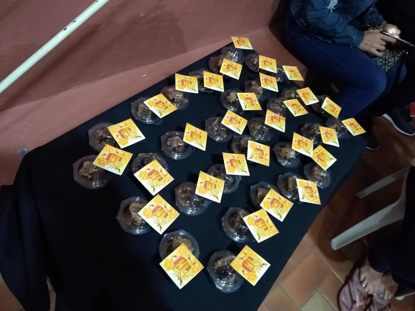 Seminários da Primavera abrem com homenagem ao centenário de escritora russa Seminários da Primavera abrem com homenagem ao centenário de escritora russa