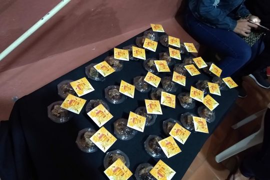 Seminários da Primavera abrem com homenagem ao centenário de escritora russa Seminários da Primavera abrem com homenagem ao centenário de escritora russa