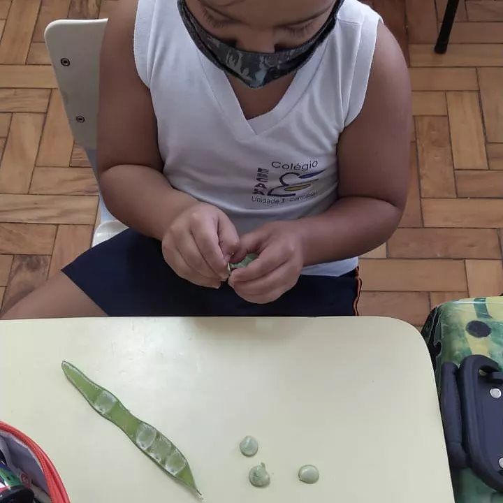Foto Planos da educação Infantil vem se destacando Foto Planos da educação Infantil vem se destacando - Imagem 0