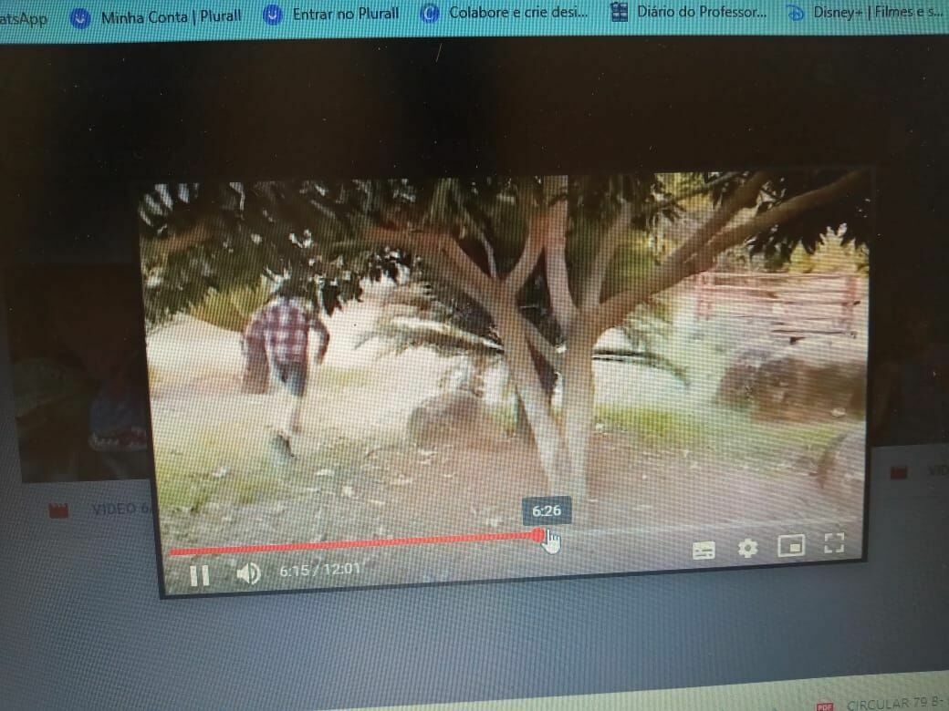Foto Colégio ESCALA encerra com sucesso e online as peças teatrais de 2021 Foto Colégio ESCALA encerra com sucesso e online as peças teatrais de 2021 - Imagem 3